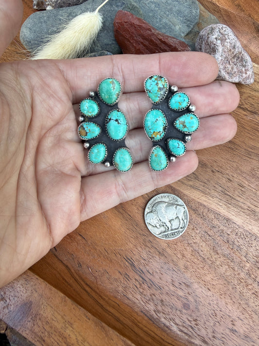 Half Cluster Sonoran Turquoise Earrings