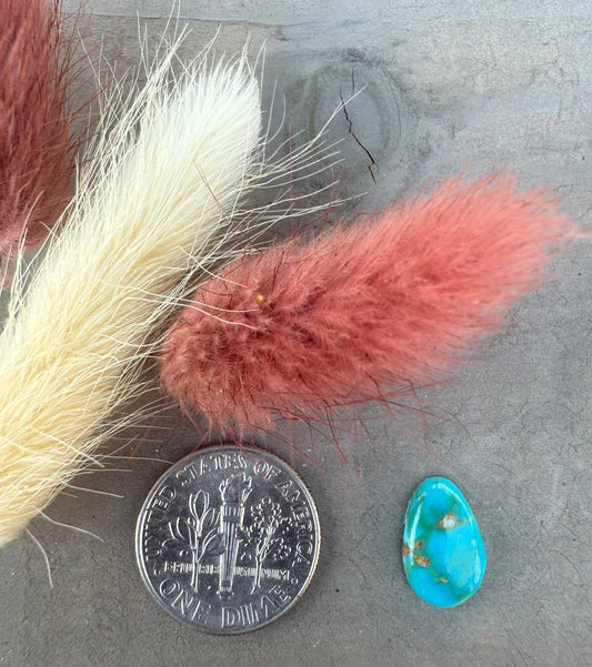 Sonoran Gem Turquoise