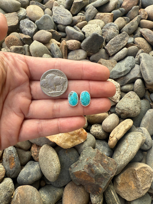 Everyday Turquoise Studs
